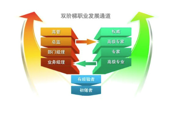 职业发展